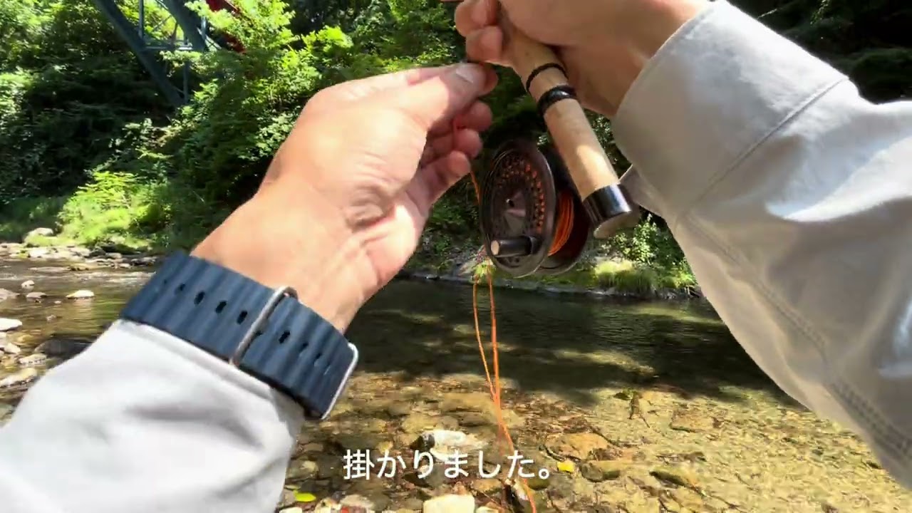 2025年6月28日 東京 秋川 フライフィッシング