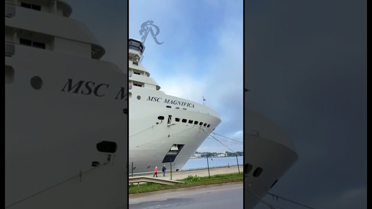 MSC Magnifica Arrives in Port ⚓️🌊 #cruiseship #cruise #travel #trending @msccruises