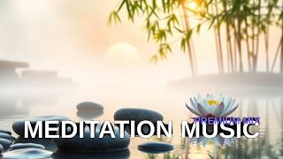 Serene Spaces  Soft Sounds for a Calm Atmosphere