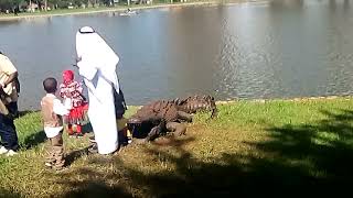 THE HORRIFYING LAST MINUTES OF GLORIA SERGE EATEN ALIVE BY ALLIGATOR