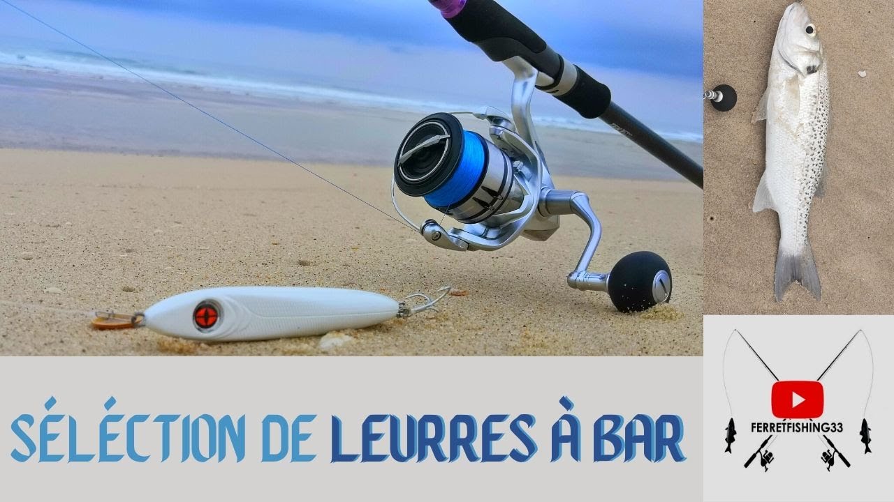 Pêche aux leurres du bord