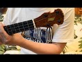 USED/Tsubame CONCERT MAHOGANY@ukuleleshoptantan