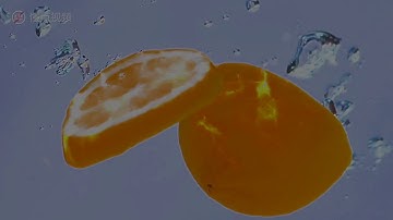 Cleansui Faucet EF102 (New)