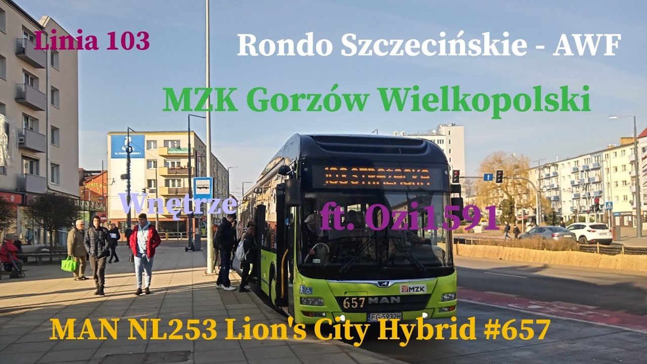 [WNĘTRZE]Linia 103 Gorzów Wlkp.Rondo Szczecińskie - AWF MAN NL253 Lion's City Hybrid 