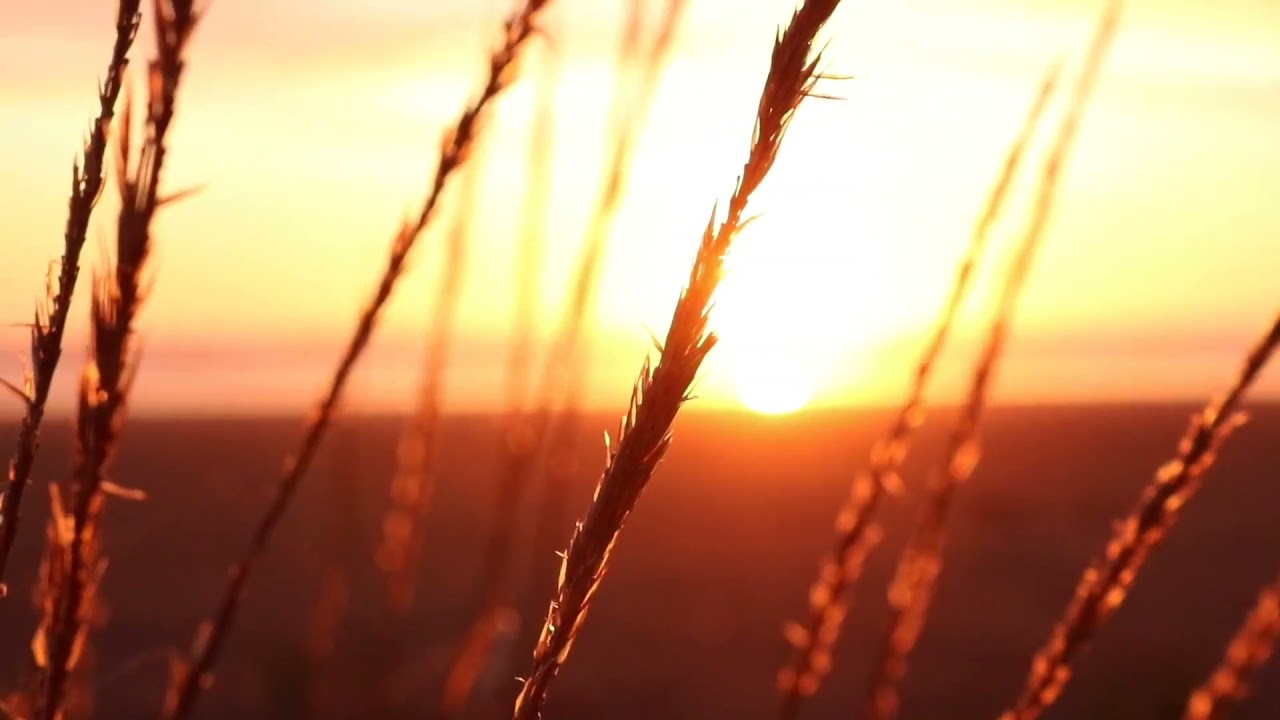 CALM AND SURREAL OCEAN SCENES🌊