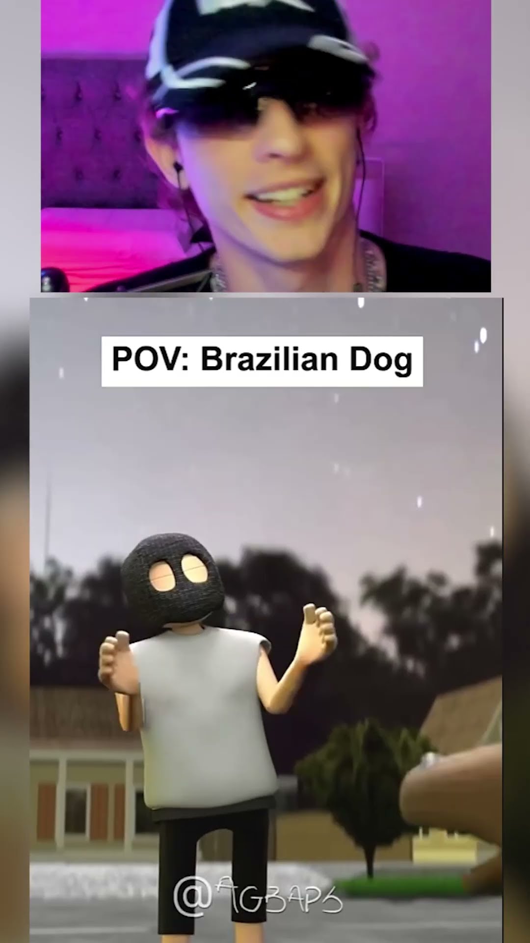 PERRO NORMAL vs PERRO BRAZILERO??