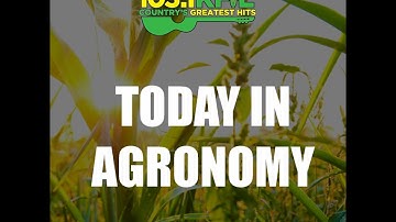 Field Observations as Harvest Nears - Part 1