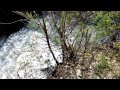 Norton's Waterfalls at Royalton Ravine