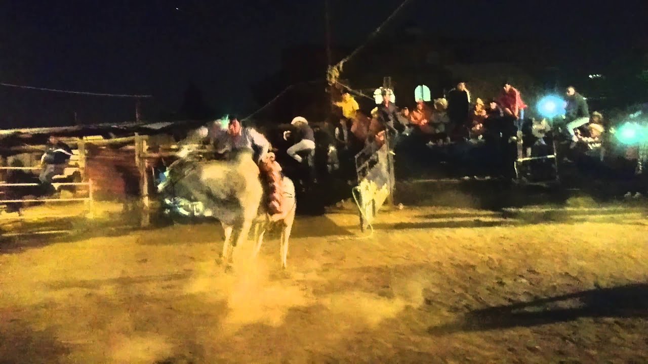 Senteya Tony tormenta vs el senteya - YouTube