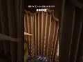絶景!ミラコスタ【バルコニールーム3309室】から見た東京ディズニーシー#shorts #disney