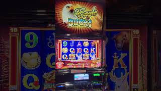 Eagle Bucks up to its old tricks #slot #casino #lasvegas