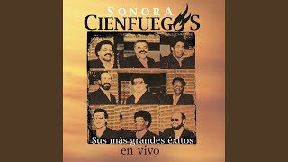 Video thumbnail of "Sonora Cienfuegos - Café la Humedad (En Vivo)"