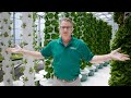 How Our Urban Greenhouse Saves Money and Reduces Energy Consumption | True Garden