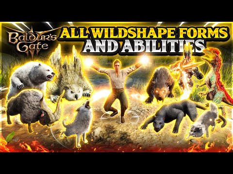 Baldur's Gate 3: All Druid Wildshape Forms and Abilities (Full Release)