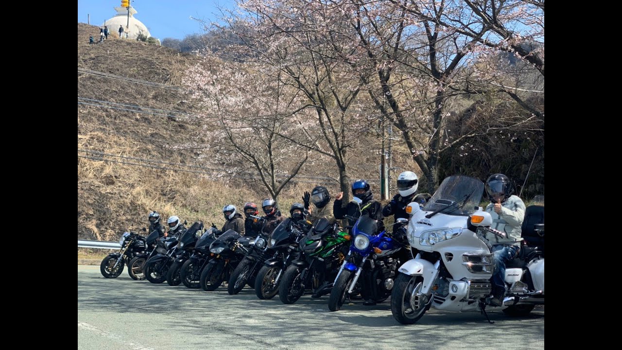 九州日帰りツーリング 高森峠の千本桜 熊本県阿蘇郡 を見に行こう Youtube 九州日帰りツーリング 高森峠の千本桜 熊本県阿蘇郡 を見に行こう Youtube