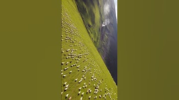 The natural landscapes, flora and fauna of Georgia are incredibly diverse