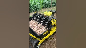Garlic Farming Garlic Seeding Machine | Garlic Planter – Good Tools Increase Work Efficiency