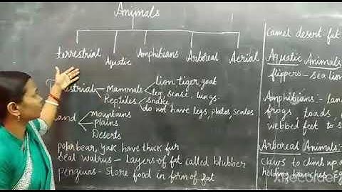 Cbse class 4 Adaptation in Animals