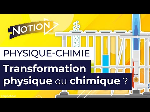 Vidéo: Différence Entre Transformation Et Transformation