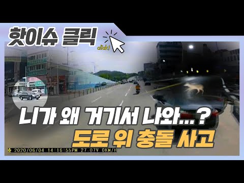 <strong>니가</strong> 왜 거기서 나와...? <strong>도로</strong> 위 충돌 사고