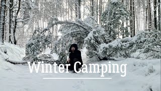 Winter camping, bushcraft bed, firesteel, (FullHD) by Johnny in the bush  13,127 views 1 year ago 13 minutes, 11 seconds