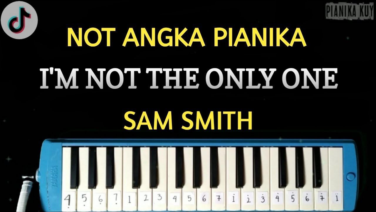 sam-smith-i-m-not-the-only-one-easy-cover-pianika-youtube