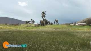 PROVINCIA CAMACHO - VILLA PUNI 2013 HD