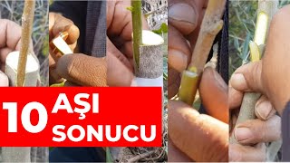 10 Adet Aşı Sonucu