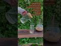 ماهو لبان الذكر وماهي فوائده وكيف نستخدمه لبان الذكر