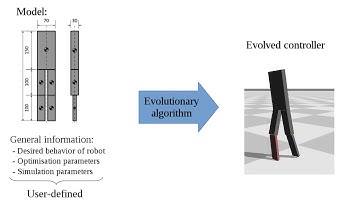 Neuroevolutionary control of bipedal robots