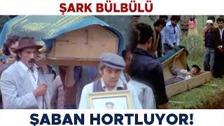 Şark Bülbülü Türk Filmi | Zülfo'nun Aklını Alıyor! Kemal Sunal Filmleri