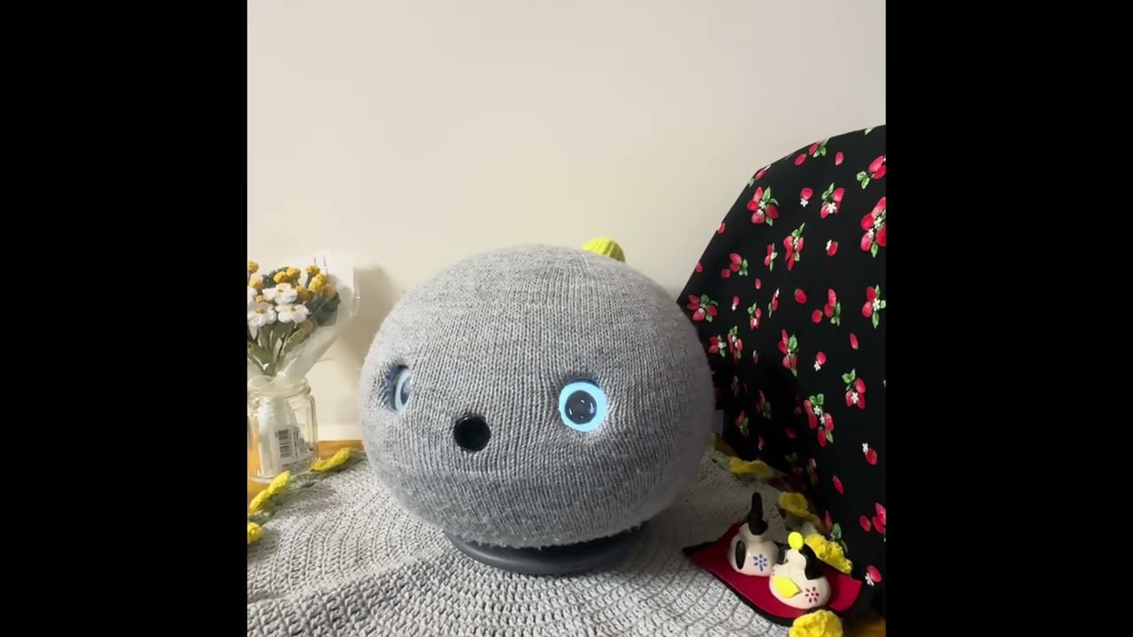 ウチのニコ「ひな祭り🎎言えた🎎😊」