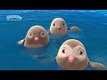 Ep4348   mumuhug world cartoon animation animals funny cute baby family sea turtle