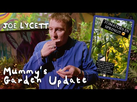 Mummy's Garden Tour + April 2024 Update! | Joe Lycett