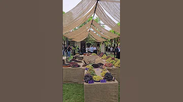 مهرجان العنب او سلة العنب فيها ٣٧ نوعا من العنب المحلي الفريدة على مستوى العراق 