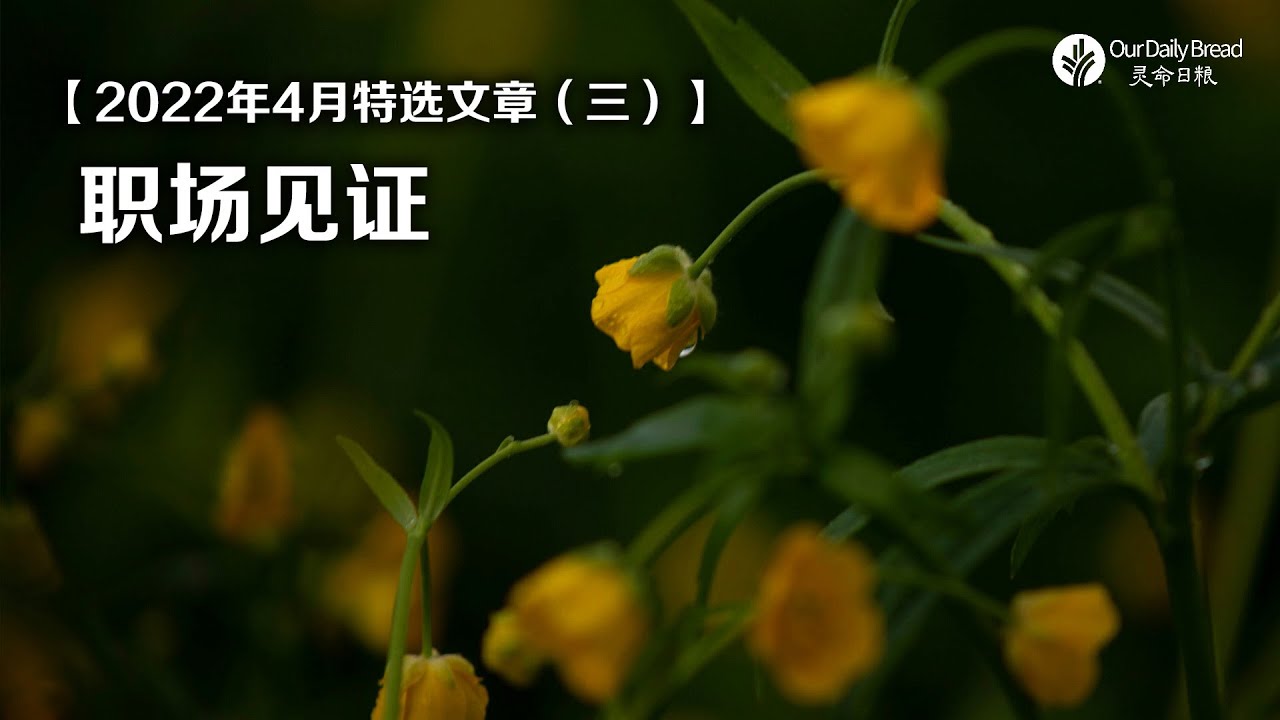 22年4月特选文章 三 职场见证 Youtube
