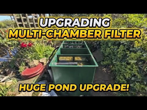 Replacing a Multi-Chamber Filter for a Maxi Horizontal Flow Filter #koi 