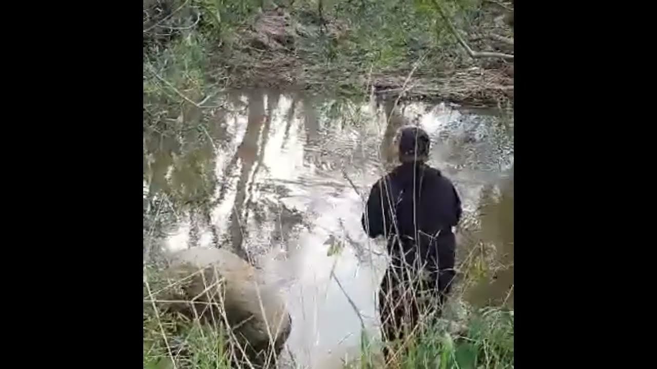 MASSIVE REDFIN!! The Coliban River Metcalf