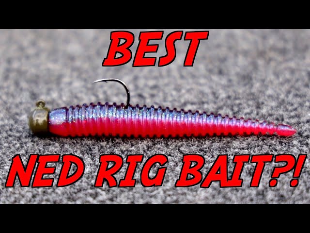 Is This NEW Ned Rig Bait a GAMECHANGER?! 