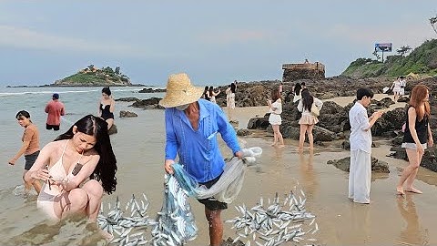 Chú Chài Cá Số Hưởng - Quăng Chài Một Lần Duy Nhất Trúng Mánh Cá Đối Tại Bãi Tắm Đẹp Nhất Vũng Tàu