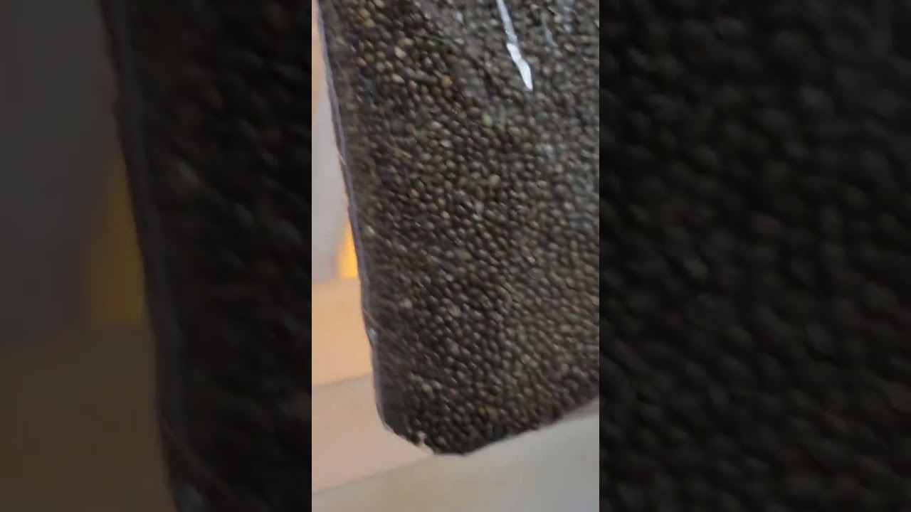 High Alpine Genetics Sapphire Kush 124,00 seeds 