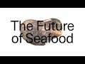 The Future of Seafood | Science and Society