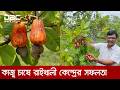 পাহাড়ে কাজুবাদাম চাষে নতুন দিগন্তের উন্মোচন | DBC NEWS