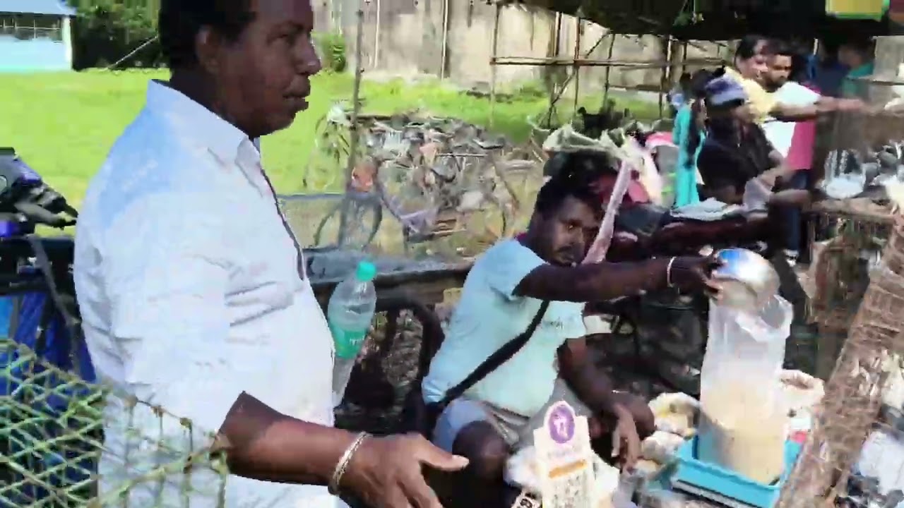 বীরনগর পায়রার হাট 10/ 2025 পুজোর পরে হাটে কেমন দাম যাচ্ছে।। 😍🕊️