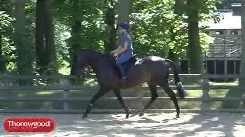 Thorowgood high wither fit saddle in use