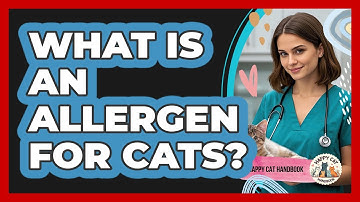 What Is An Allergen For Cats? - Happy Cat Handbook
