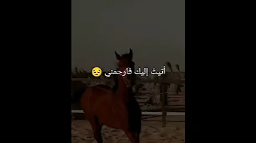 سأسأل ما الذي قدمت في دنياي ينجيني Short 