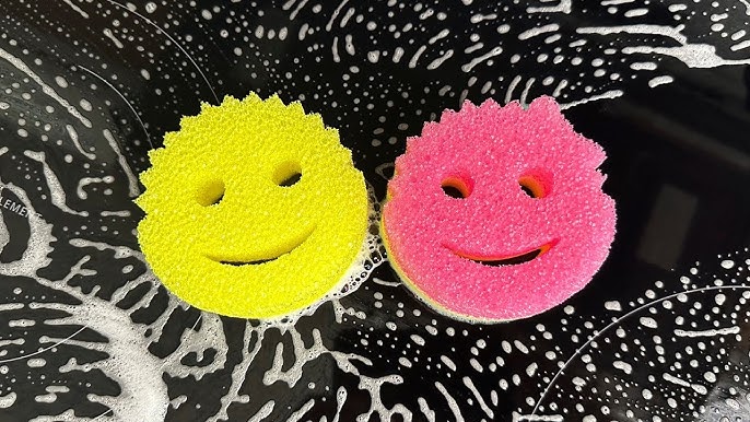 Save on Scrub Daddy Scrub Mommy Dual-Sided Scrubber + Sponge Order Online  Delivery