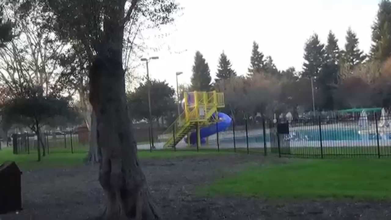 США 2356: Rengstorff Park. Mountain View, CA - Гарри Поттер с нами