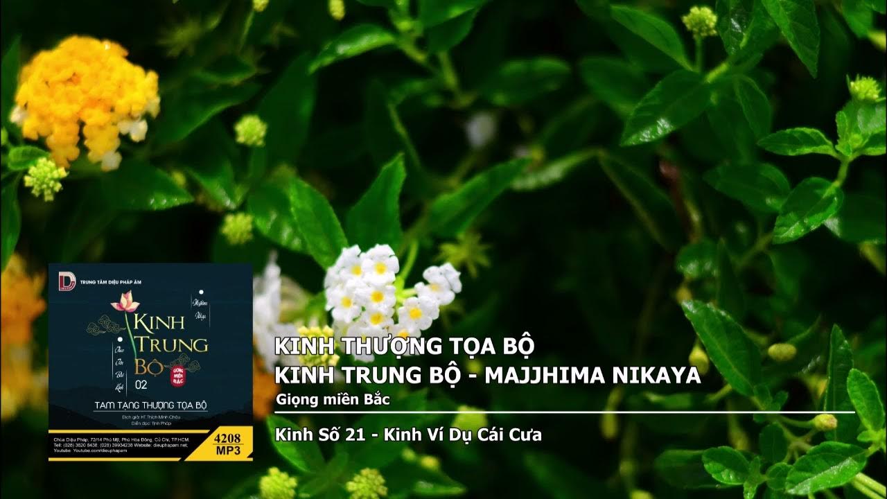 K.Số 21 – K.Ví Dụ Cái Cưa giọng miền Bắc 